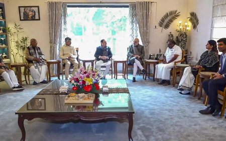 NDA leaders in huddle with eye on Delhi polls, hold talks on ONOE