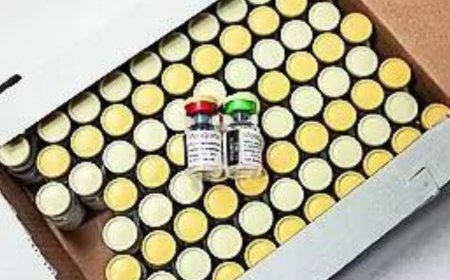 States with high malaria burden dip from 10 in 2015 to 2 in 2023: Government