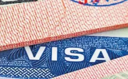 US issues over one million visas for second consecutive year, India tops international student rankings