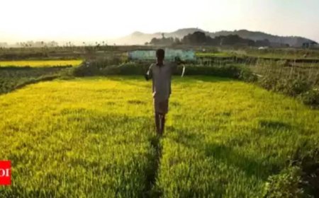 Centre releases draft policy seeking states to move towards unified national market for agriculture produce, farmer groups oppose it