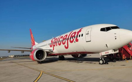 SpiceJet to operate special daily flights  from metros for Maha Kumbh 2025