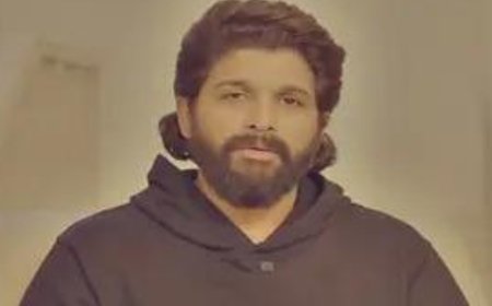 Allu Arjun appears before court virtually in stampede case