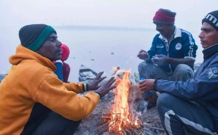 Cold wave to grip North India from Sunday; Delhi sees wettest December day in 101 years: IMD