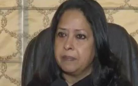 Pranab Mukherjee's daughter,  PV Narasimha Rao's grandson slam Cong amid row over Singh