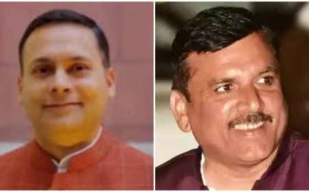 'Wife voted in Lok Sabha polls': AAP's Sanjay Singh hits back at BJP's counter, Amit Malviya calls Anita's vote 'invalid and illegal'