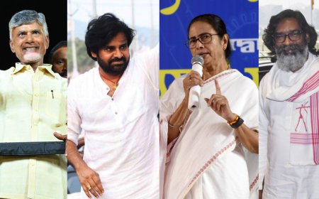 Rise of regional satraps: How local parties shaped 2024 election landscape