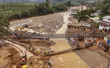 Government declares Wayanad landslides a 'severe nature disaster', announces aid process