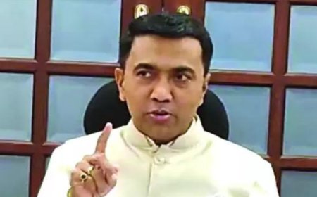 Goa sees remarkable revenue growth in December 2024: CM