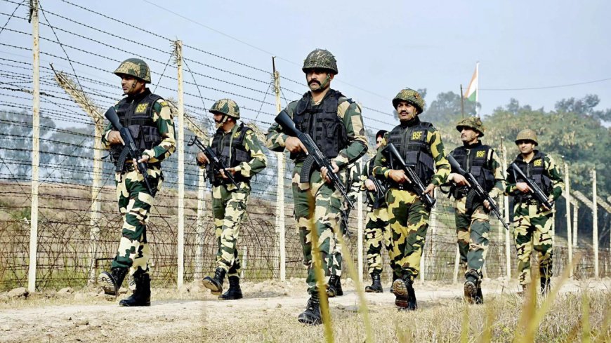 55 Rohingyas among 675 illegal immigrants apprehended in Tripura in 2024: BSF