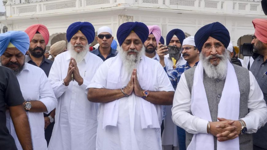 Cleaning utensils, shoes over SAD rule 'mistakes': Akal Takht issues religious punishment for Sukhbir Badal