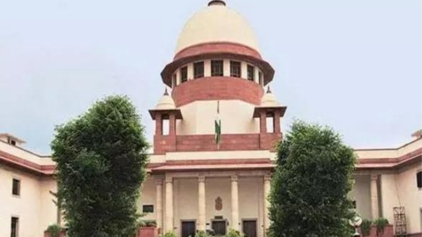 Sack Senthil Balaji from cabinet post: BJP to Stalin after Supreme Court rap