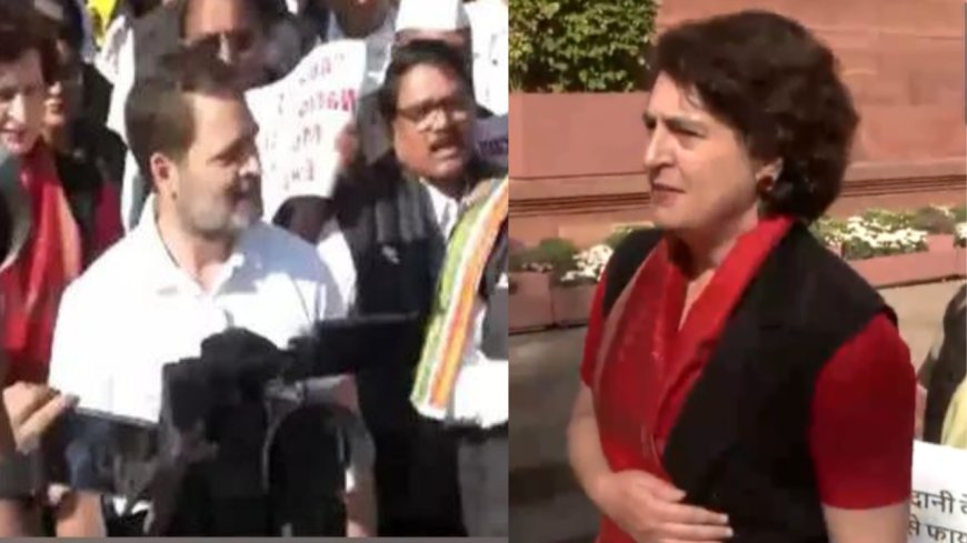 Watch: Opposition leaders including Rahul Gandhi, Priyanka protest outside Parliament over Adani issue