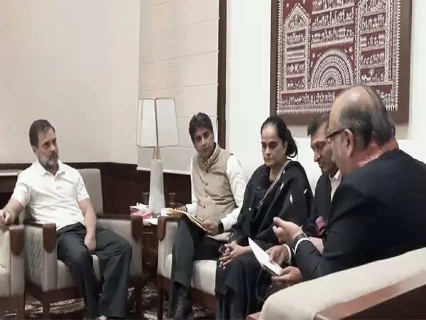 Rahul Gandhi meets environmental delegation, assures to raise 'air pollution' issue in Parliament