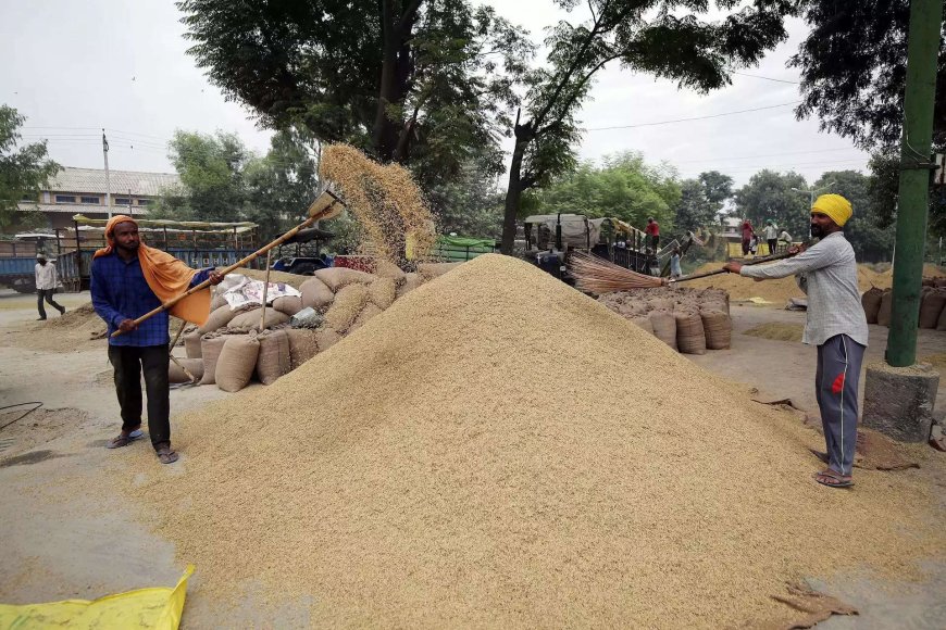 Food ministry launches ‘Anna Chakra’ to optimize PDS supply chain, save Rs 250 cr annually