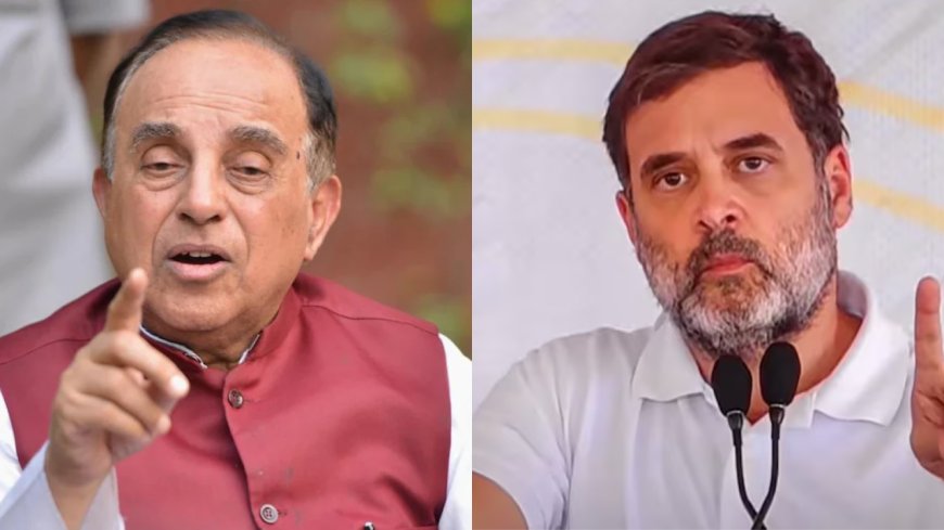 Delhi HC seeks Centre’s response on plea regarding Rahul Gandhi’s citizenship