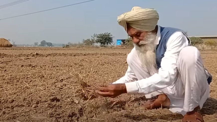 Watch:'Why I didn't set my farm on fire this year'