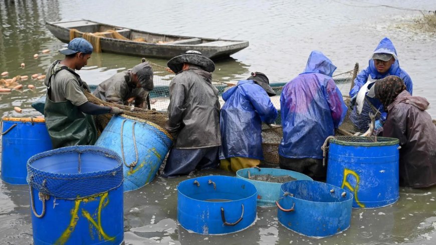 At WTO, India cites fishing subsidy gap, seeks relook