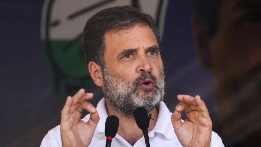 'Want House to function': Rahul Gandhi meets LS speaker amid ruckus in Parliament
