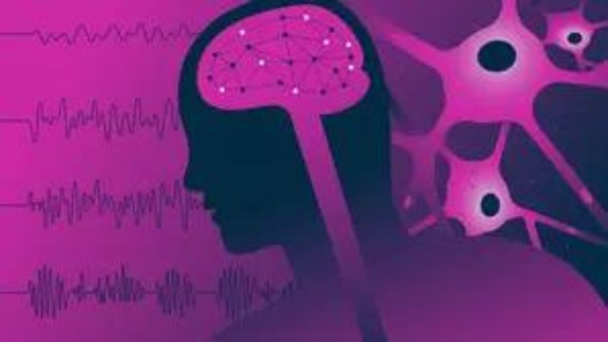 Neuro-robot offers help in epilepsy treatment