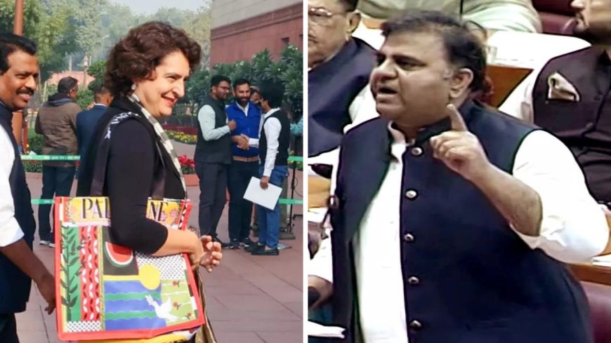 'Stood tall amidst pigmies': Ex-Pakistan minister lauds Priyanka Gandhi for carrying Palestine bag to Parliament