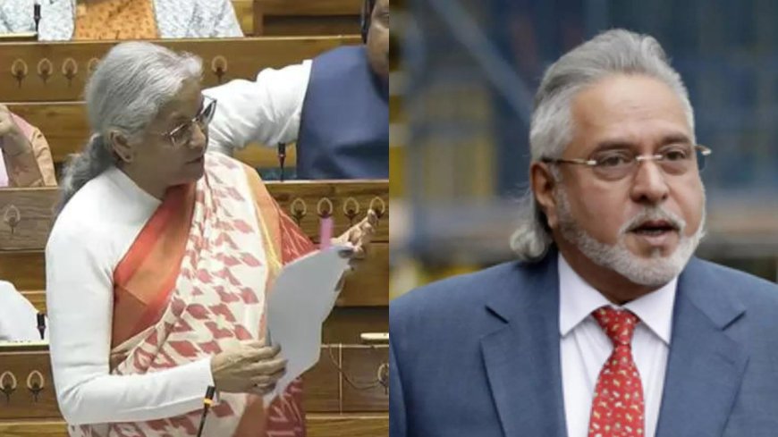 'Entitled to relief': Vijay Mallya reacts to FM Nirmala Sitharaman's statement on Rs 14,131 crore debt recovery