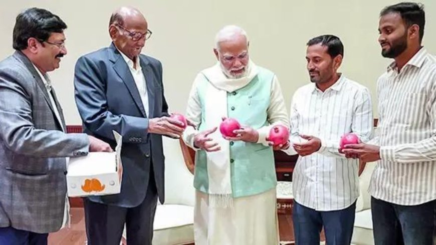 Sharad Pawar holds first meet with PM Modi since MVA loss, gifts him pomegranates from Maharashtra