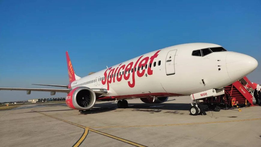 SpiceJet to operate special daily flights  from metros for Maha Kumbh 2025
