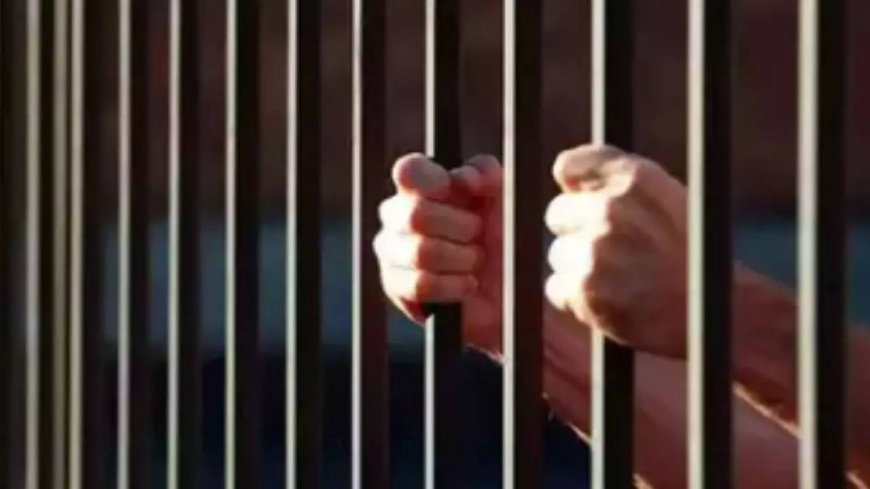 Man, 65, gets 20 years in jail in NDPS case; court says drug menace spreading widely in society