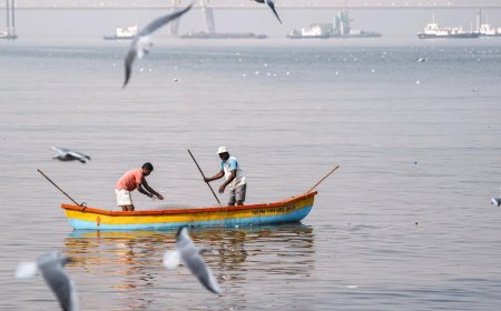 Mumbai fog spreads to sea, pushes fish to warmer waters 200km away