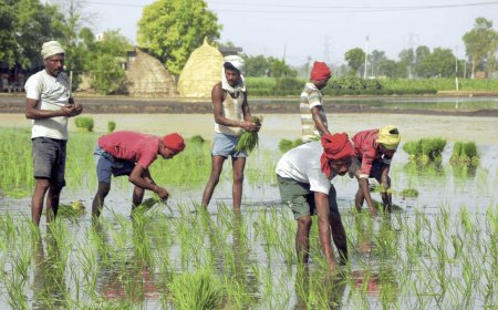 Govt's draft policy aims to build unified agriculture market