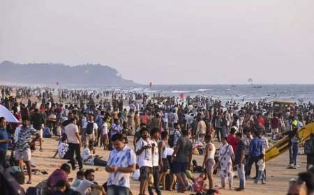 Goa beaches turn into celebration venues as people welcome New Year