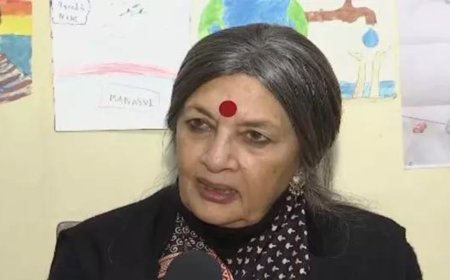 CPI(M) leader Brinda Karat slams BJP chief Nadda over his silence over 'mini-Pakistan' remark