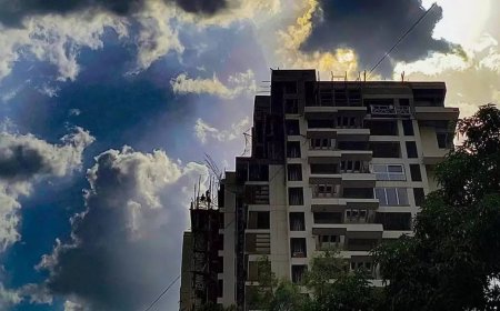 2024 warmest year in India since 1901, says IMD