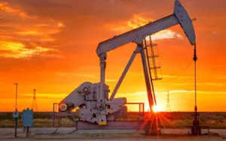 India reports decline in greenhouse gas emissions and GDP emission intensity