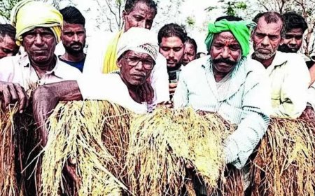 SC on MSP PIL: 'Why can't govt tell farmers its doors are open for talks?'