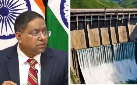 'Illegal occupation, solemn protest': India raps China over dam project, new counties in Ladakh