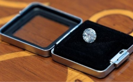 Indian diamond priciest gift given to Jill Biden in 2023: US state department