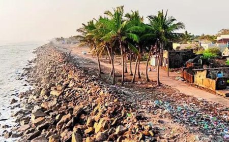 MHA: India's recalculated coastline up 48% in 53 years