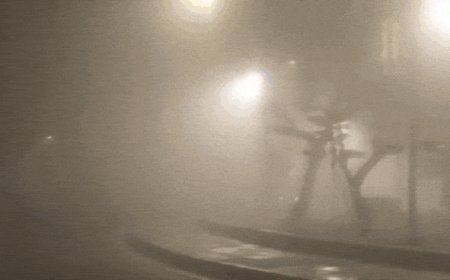 Dense fog grips Delhi, visibility drops to zero for record nine hours; over 400 flights delayed