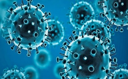 China HMPV outbreak: Kerala, Telangana closely monitoring situation amid reports of massive flu surge