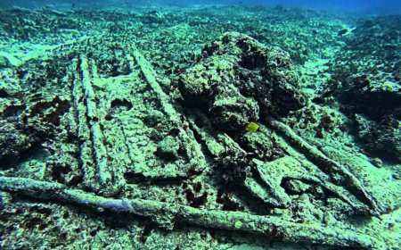 Lakshadweep divers bump into wreck of centuries-old warship