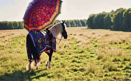 'Who is your groom?': AAP counters BJP's 'aapda' dig with 'no CM face' jab ahead of Delhi polls, watch video