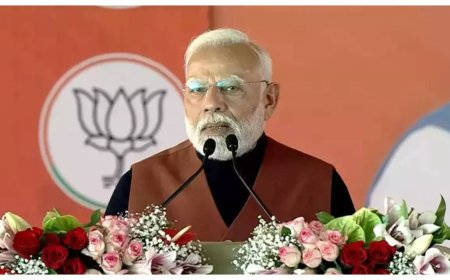 No welfare scheme to be shut if BJP comes to power in Delhi, will weed out corruption: PM Modi