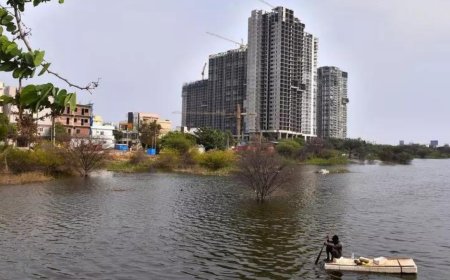 102 maps forged to legalise Mumbai coast properties: Probe