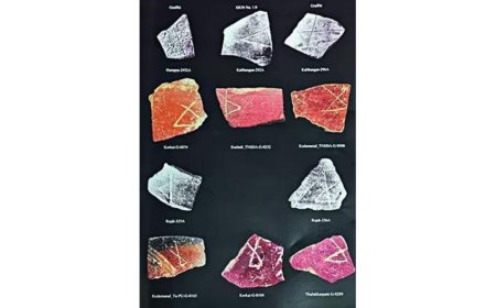 Graffiti in ancient Tamil Nadu sites similar to Indus Valley civilisation signs: Study