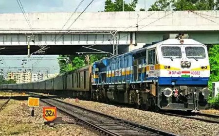 Train reverses 700 metres to pick passenger who fell