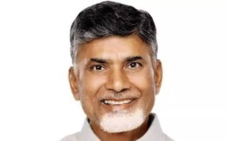 'Had your parents also thought like that ...': Andhra Pradesh CM Naidu again rakes up declining birthrates issue