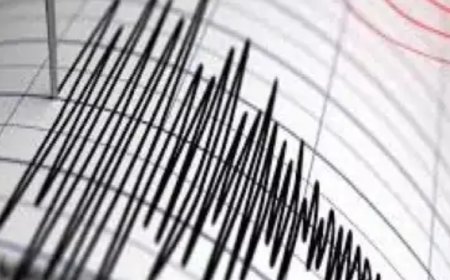 Earthquake of magnitude 7.1 strikes Nepal; tremors felt in Bihar