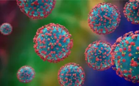 Anxious about HMPV? Here’s all you need to know