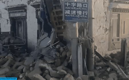 Death toll from earthquake in Tibet-Nepal jumps to 50, over 60 injured